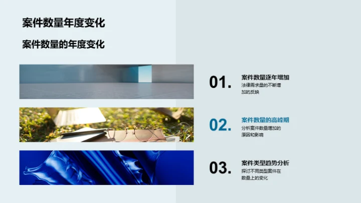 律师年度工作综述