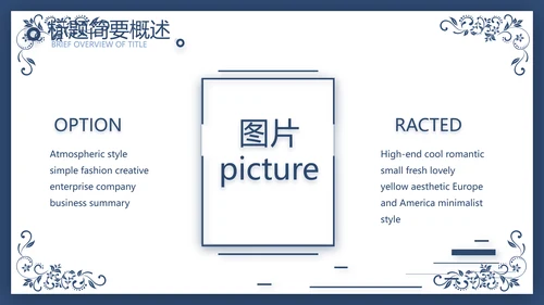 欧式花纹项目创业融资计划书商业计划书PPT