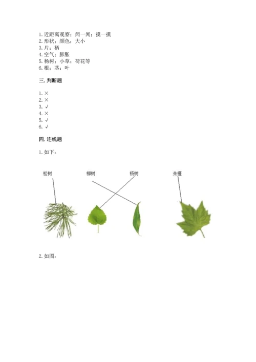 教科版科学一年级上册第一单元《植物》测试卷含答案（名师推荐）.docx