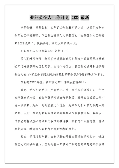 业务员个人工作计划2022最新