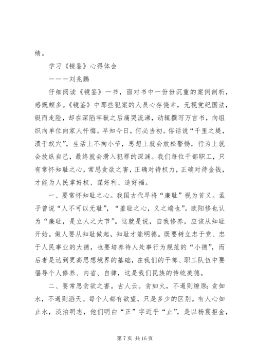 学习《镜鉴》体会[模版] (4).docx