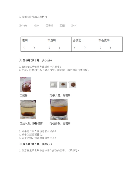 教科版小学科学一年级下册期末测试卷word版.docx