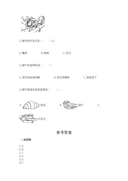 教科版一年级下册科学期末测试卷带答案.docx