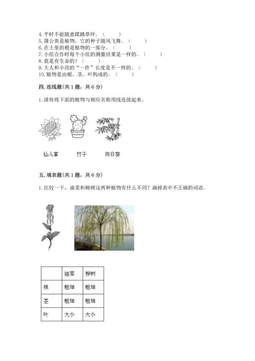 教科版一年级上册科学期末测试卷附参考答案（考试直接用）.docx