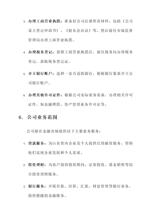 山东金融公司注册方案
