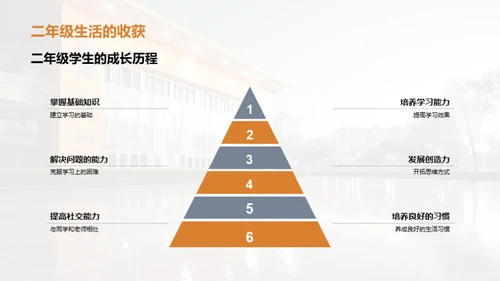 二年级学习生活全解析