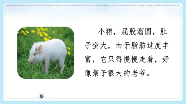 统编版语文二年级上册 课文1  口语交际 有趣的动物  课件