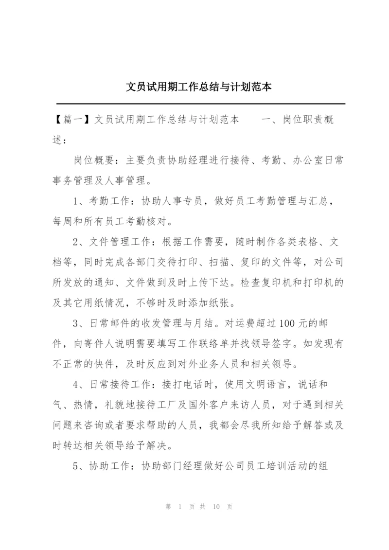 文员试用期工作总结与计划范本.docx