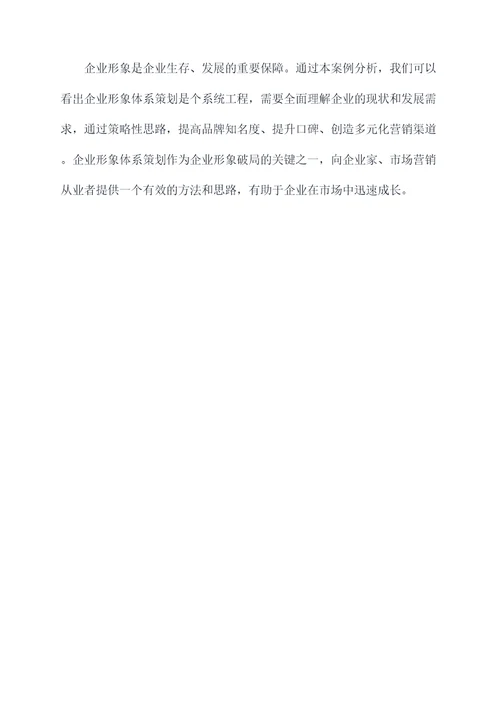 企业形象体系策划案例