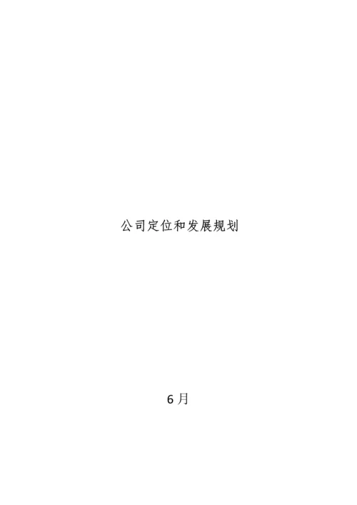 公司定位和发展重点规划.docx