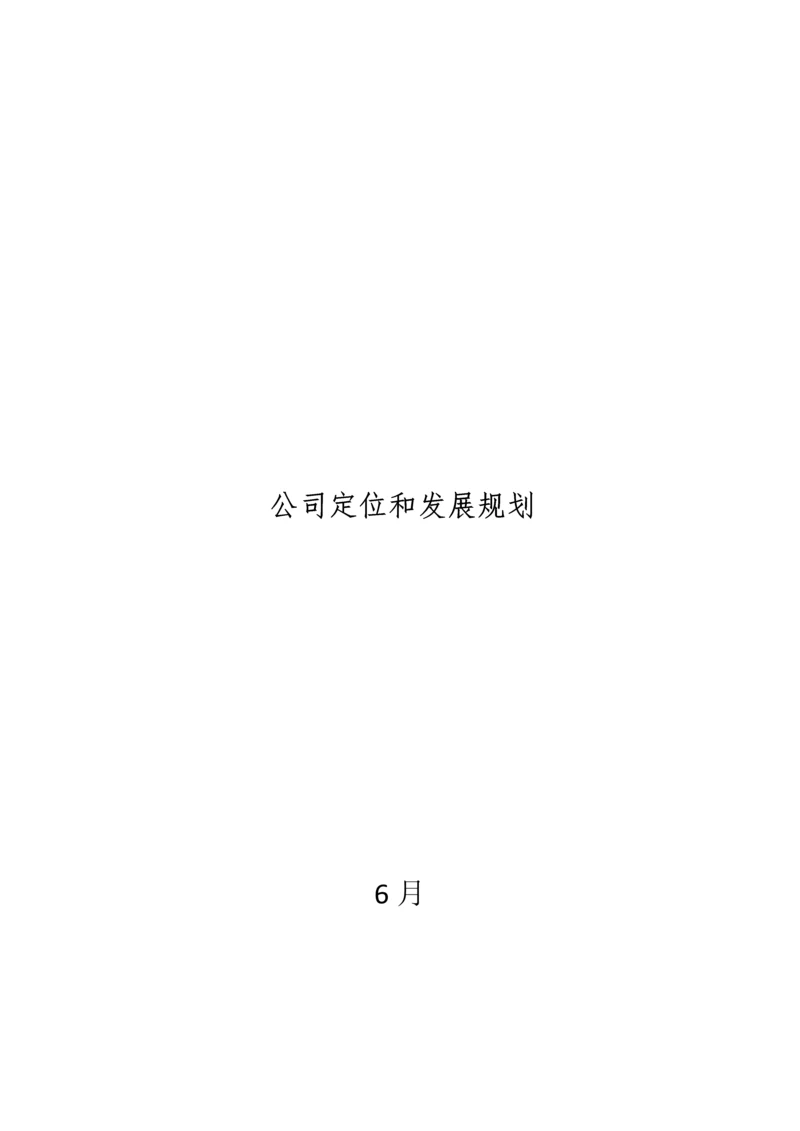 公司定位和发展重点规划.docx