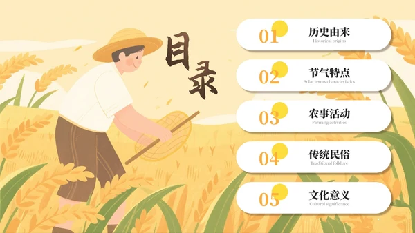 黄色芒种节气介绍通用PPT模板