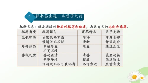 17 短文两篇 爱莲说 课件（共29张PPT）