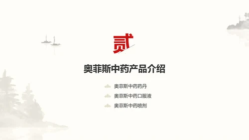 中国风中医药医疗保健产品介绍