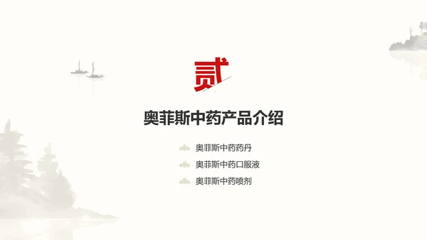中国风中医药医疗保健产品介绍
