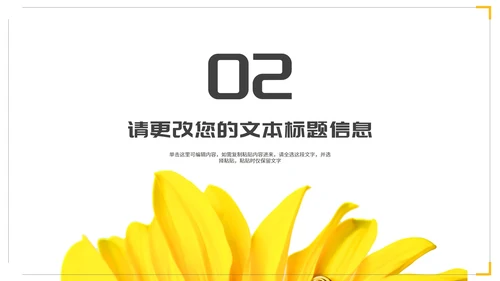 小清新简约向日葵学生毕业论文汇报演讲PPT模板