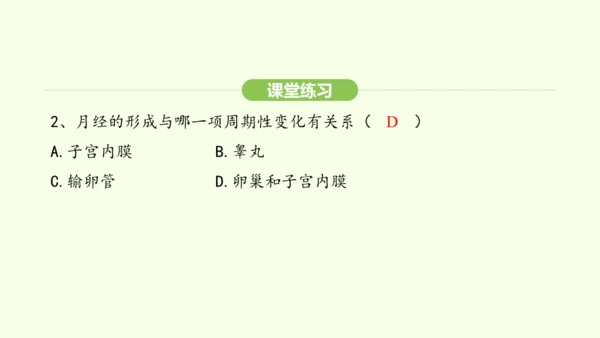 第四单元-第一章-第二节 青春期课件-2024-2025学年七年级生物下学期人教版(2024)(共2