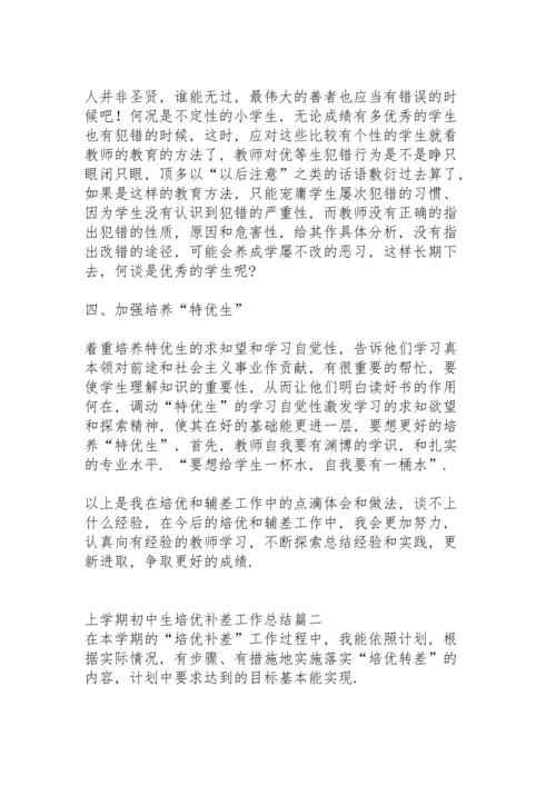 初中教师培优补差工作总结春季学期.docx