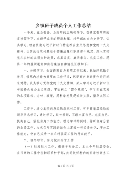 乡镇班子成员个人工作总结.docx