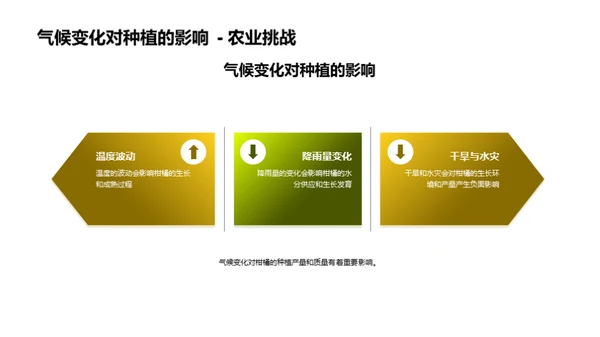 柑橘产业赋能：挑战与战略