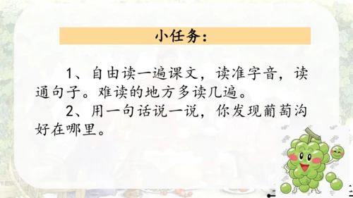 11 葡萄沟   公开课   课件