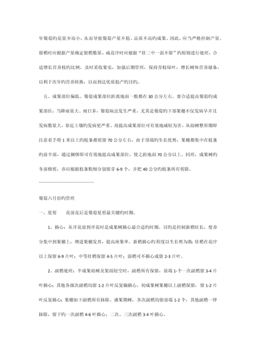 葡萄各阶段管理技术.docx