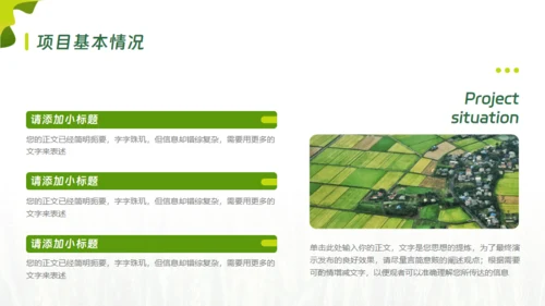 乡村振兴项目工作报告通用PPT模板