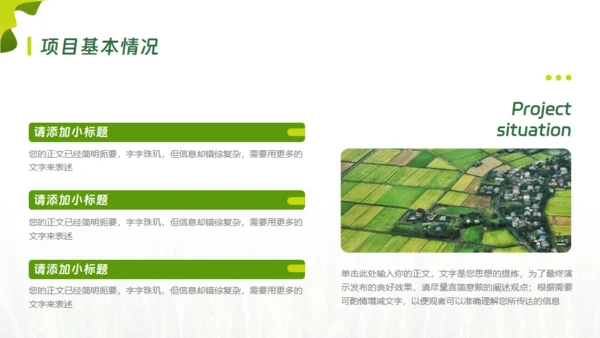 乡村振兴项目工作报告通用PPT模板