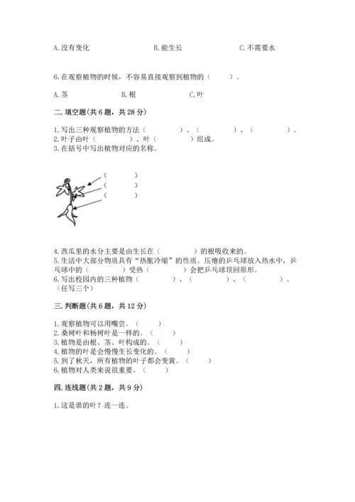 教科版科学一年级上册第一单元《植物》测试卷带答案（b卷）.docx