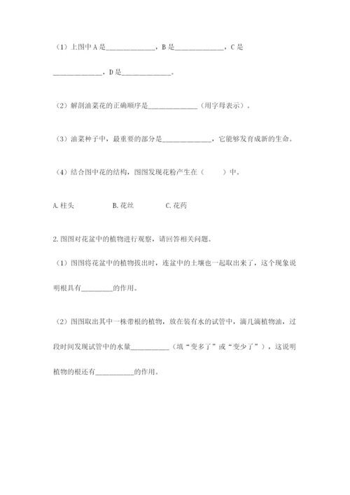 科学四年级下册第一单元《植物的生长变化》测试卷及完整答案（易错题）.docx