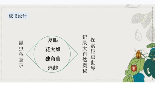 4昆虫备忘录   课件