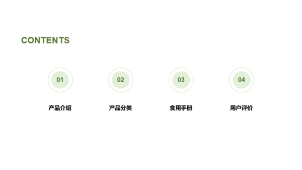 绿色航务市场营销轻食产品介绍PPT案例