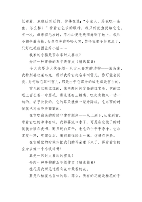 介绍一种事物的五年级作文（精选7篇）.docx
