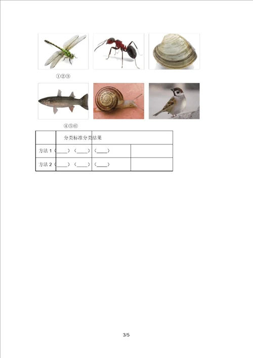 最新教科版一年级科学上册期中考试卷附答案