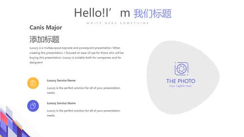 简约大方医药代表工作总结汇报动态PPT