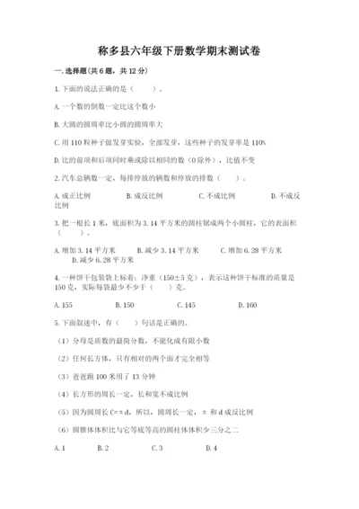 称多县六年级下册数学期末测试卷（考试直接用）.docx