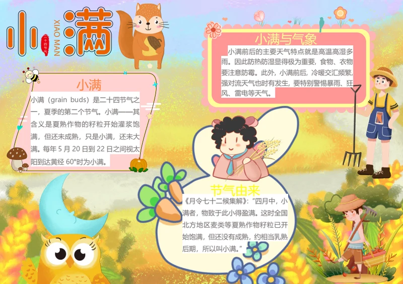 小满传统节气Word小报