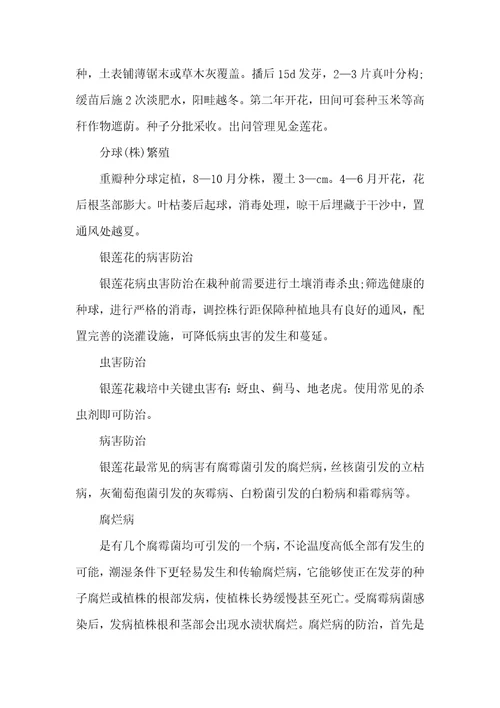 2021年银莲花怎么养银莲花的繁殖方法营养繁殖的方法