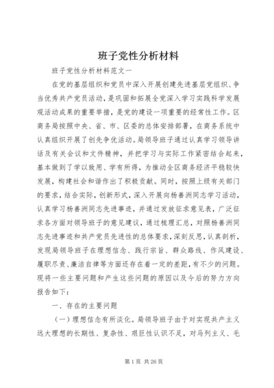 班子党性分析材料.docx