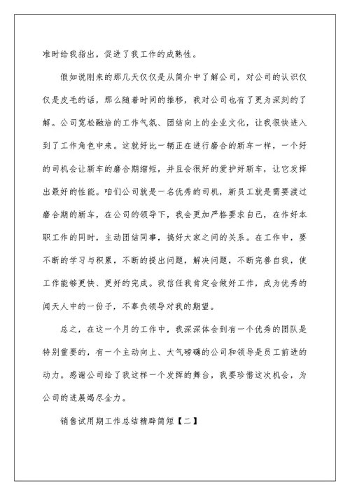 销售试用期工作总结精辟简短