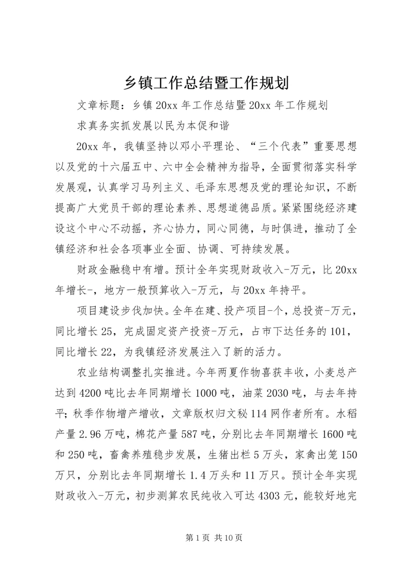 乡镇工作总结暨工作规划.docx