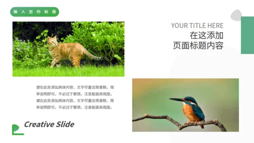 绿色自然生态动物保护宣传通用PPT模板