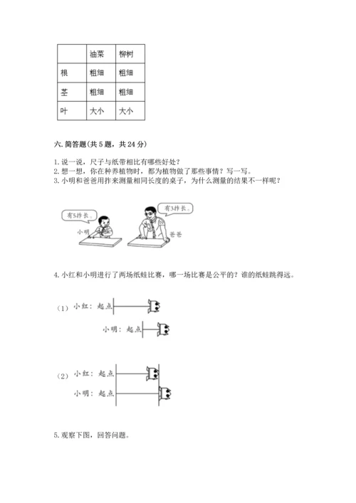 教科版一年级上册科学期末测试卷【典优】.docx