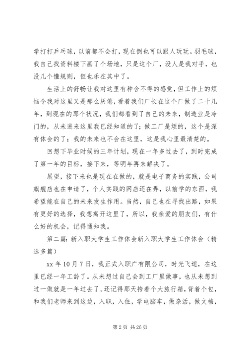 新入职大学生工作体会.docx