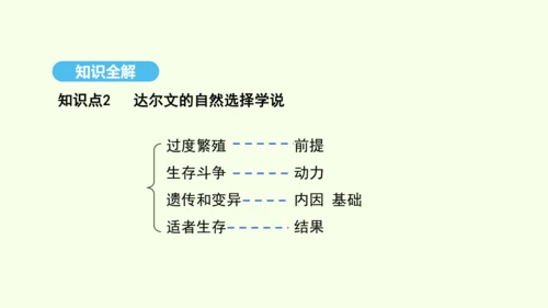 7.3.3生物进化的原因课件-人教版生物八年级下册(共37张PPT)