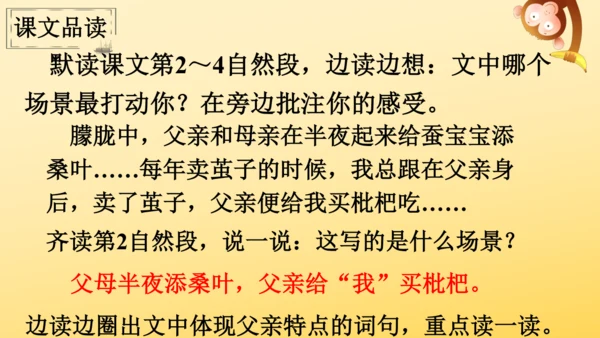 19 父爱之舟   课件