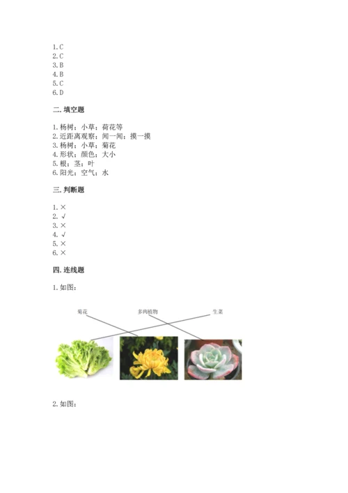 教科版科学一年级上册第一单元《植物》测试卷带答案（典型题）.docx