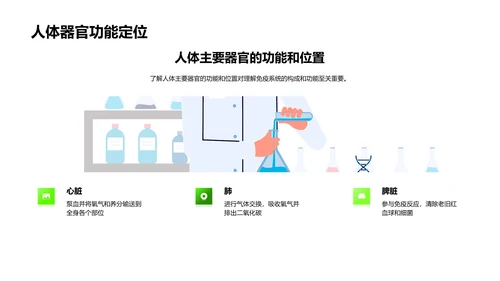 高二生物免疫系统讲解