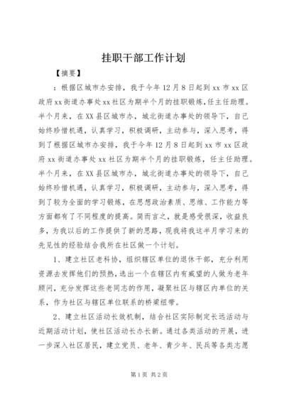 挂职干部工作计划.docx