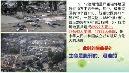 2022-2023学年部编版道德与法治七年级上册8.2 敬畏生命 课件（共27张PPT）